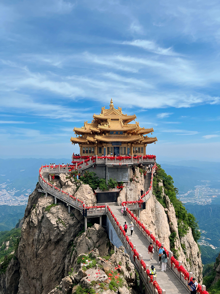 泰山陪游是做什么的? 