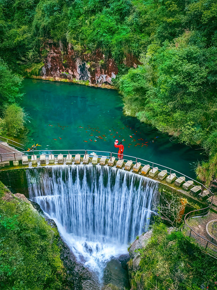 伊犁地陪一天多少费用。
