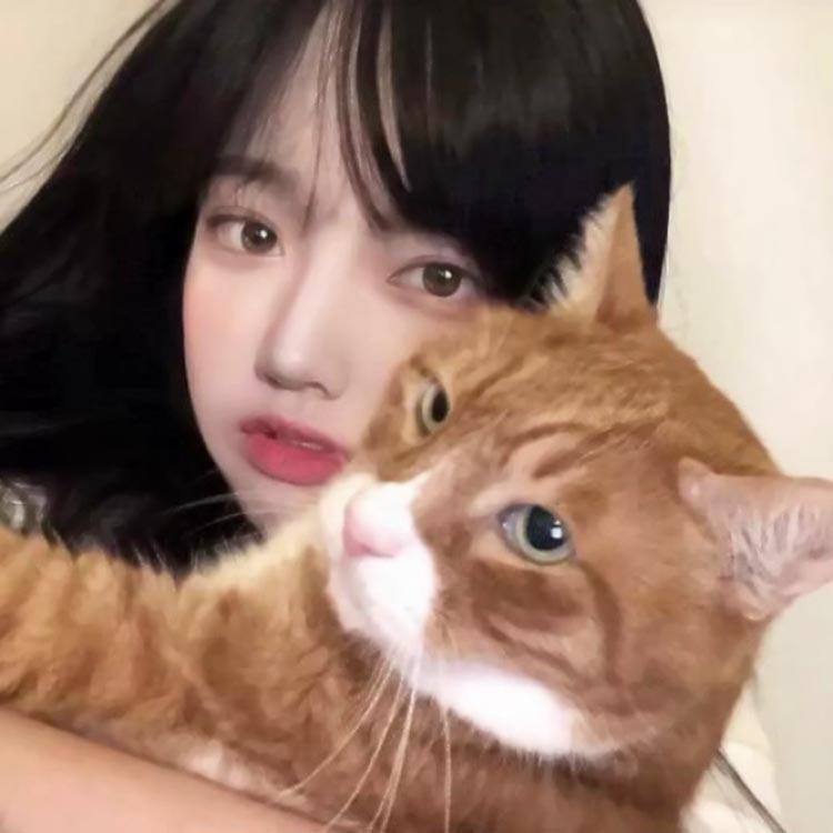 商务伴游如何提升商务交流效果?