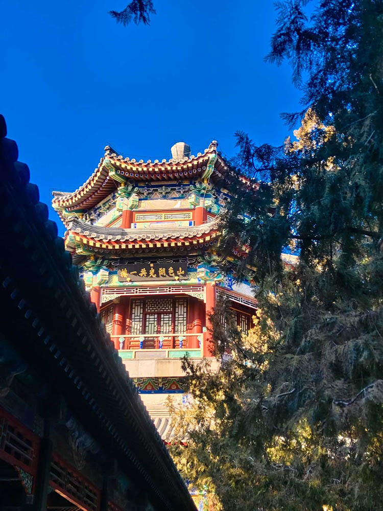 做了“私人伴游”三个多月,这位女大学生的感受如何?